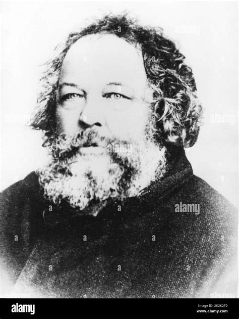 Mikhail Bakunin Russian Philosopher And Theorist Of Libertarian