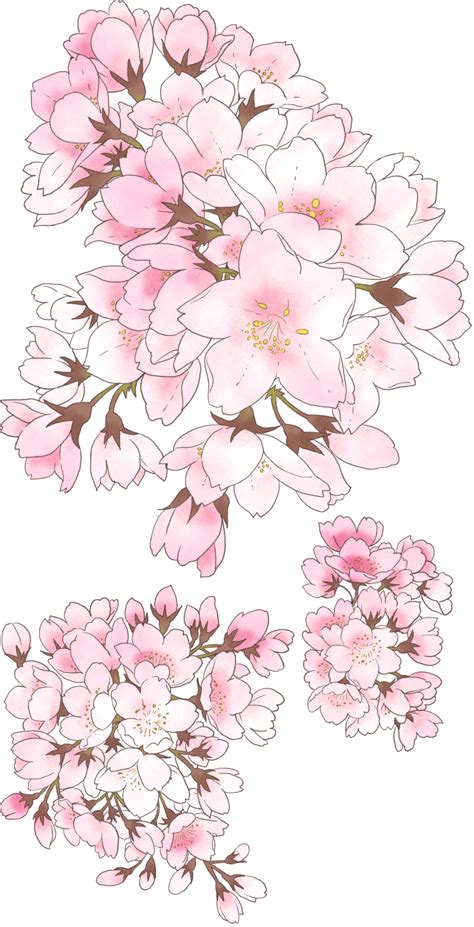 source: sen-one | Flower drawing, Spring illustration, Amazing drawings