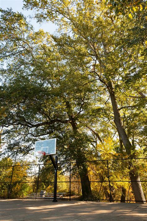 Basketball Half Court Photos, Download The BEST Free Basketball Half