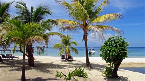 5 Best beaches in Roatan island, Honduras - Ultimate guide (January 2025)