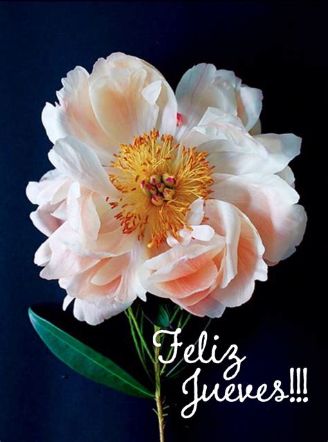 feliz jueves bendiciones 5