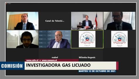 FNE Expuso Informe Preliminar Sobre Estudio De Mercado Del Gas Ante