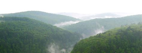 mid state trail farout