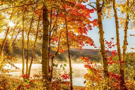 Fall Lake stock photo. Image of table, shadows, color, natural - 326416