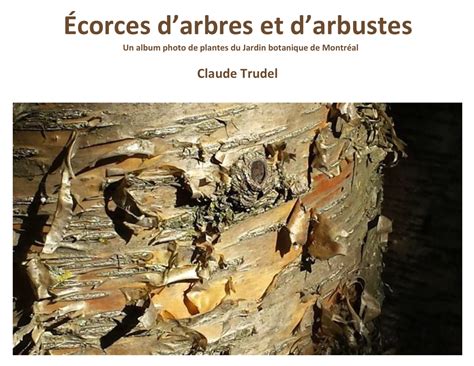 Corces Darbres Et Darbustes Tela Botanica