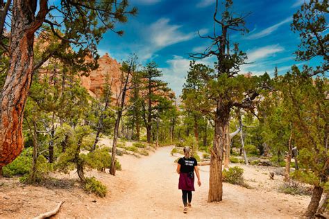 Discover, Trek, Thrive: 6 Must-Experience Solo US Vacations for Women