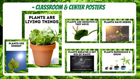 Small Science Plants As Living Things Made By Teachers