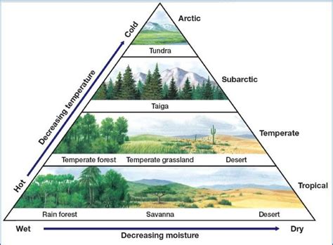 The World Biomes Is Divided In Two Parts That Are Land And Water Biomesthe Land Biome Is