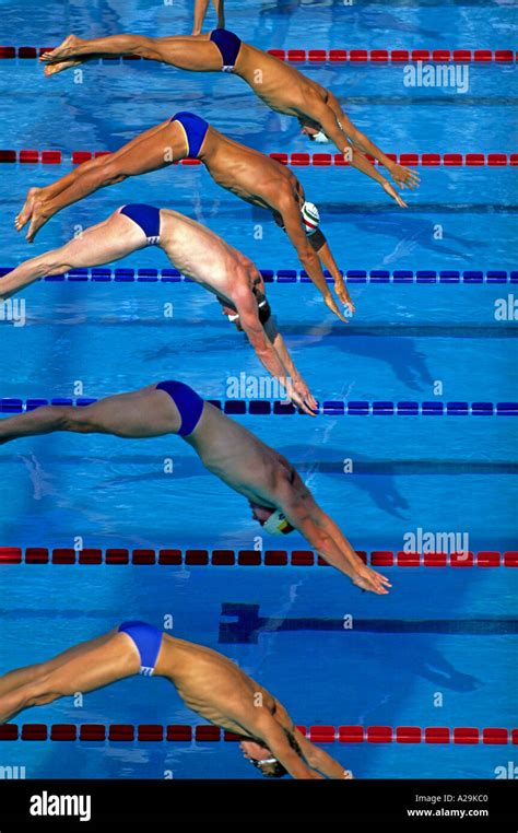 Five Male Swimmers Dive Into The Pool At The Start Of A Race Stock