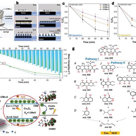 Photothermalphotocatalytic Performance And Mechanism Of Ccmsx