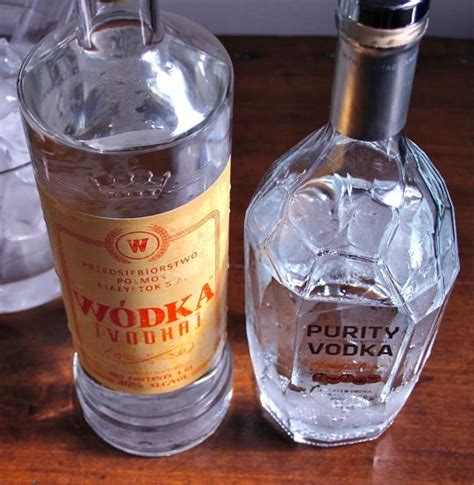 Two New And Very Different Vodkas Purity And Wódka Straight Up