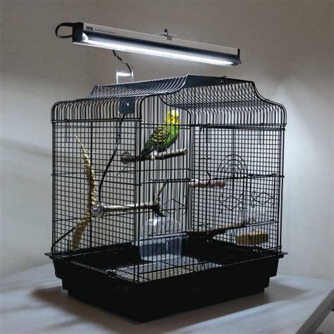 heat light avian lighting page  reptilesrus