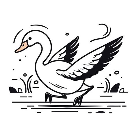 Ilustraci N Vectorial De Un Cisne Volador Aislado Sobre Un Fondo Blanco