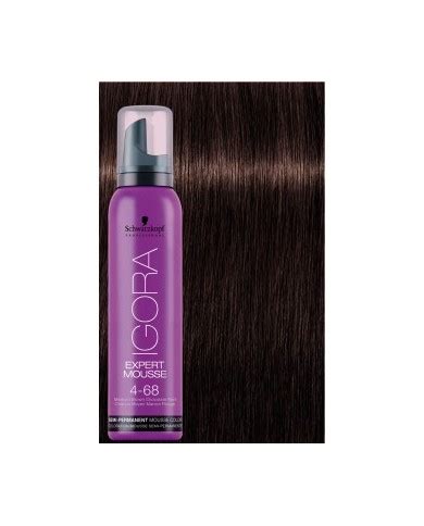 EXPERT MOUSSE IGORA 9 5 1 100ML