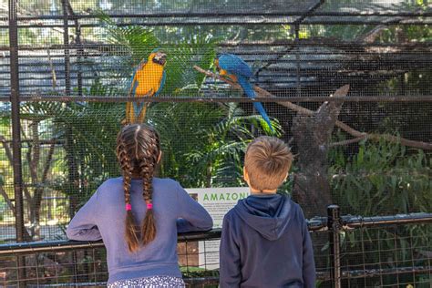 Explore the Rockhampton Botanic Gardens and Zoo - Our Coast Life