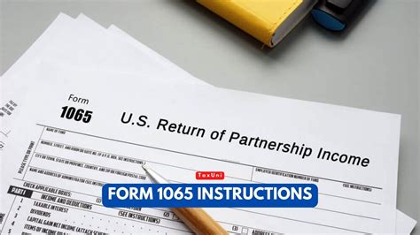 Form 1065 Instructions 2024 - 2025