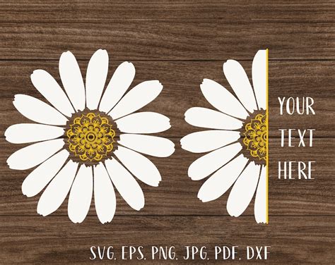 Daisy Mandala Svg Half Of A Daisy Svg White Flower Svg Daisy Etsy Israel