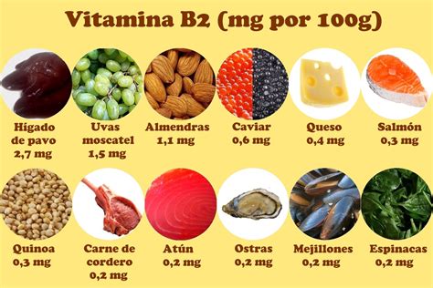 Nutrición y vitaminas hidrosolubles Cuáles son las vitaminas