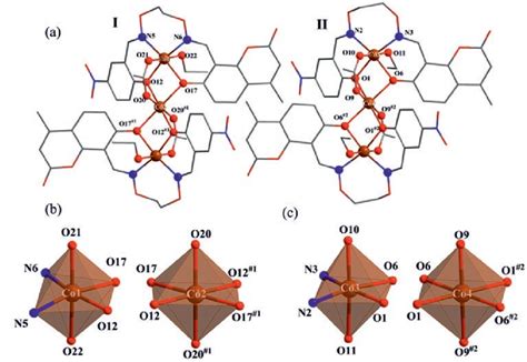 molecula structure  complex  molecules   ii