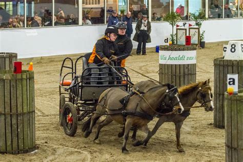 Finale Twente Cup Verreden In Ambt Delden Hoefnet Nieuws Over In En