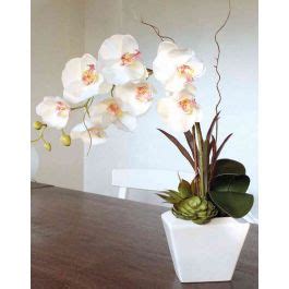 Acheter Des Orchid E Artificielle Phalaenopsis Alecia Succulentes Pot