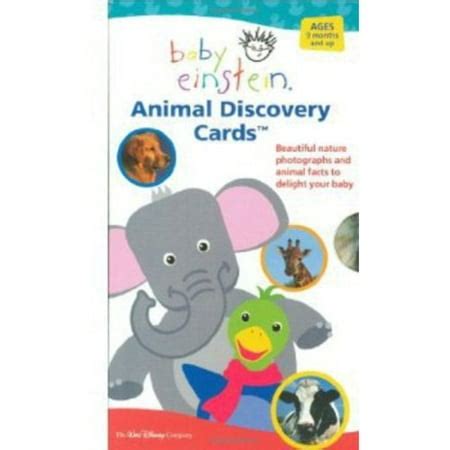 Baby Einstein: Animal Discovery Cards - Walmart.com