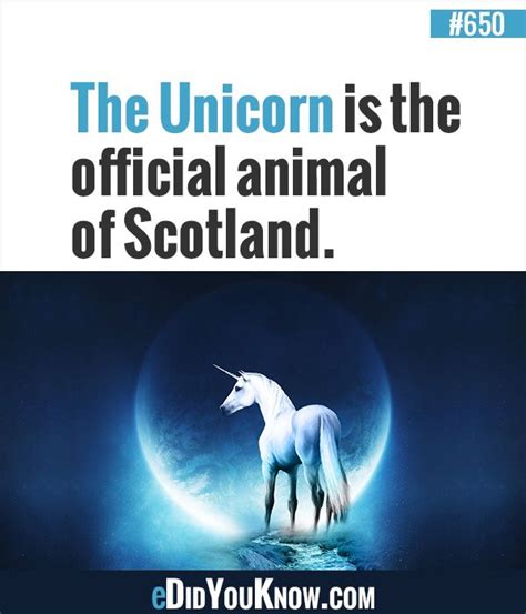 The Unicorn Is The Official Animal Of Scotland