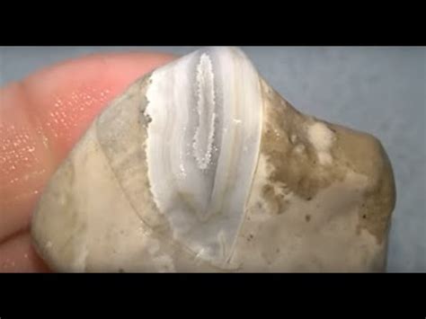 Found A Cold Water Agate In Late January Along Lake Michigan Youtube