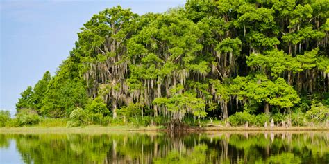 Everglades National Park, Wildlife Tourism in Florida - Traveldigg.com