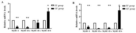 Animals Free Full Text The Effect Of Rearing Conditions On Carcass