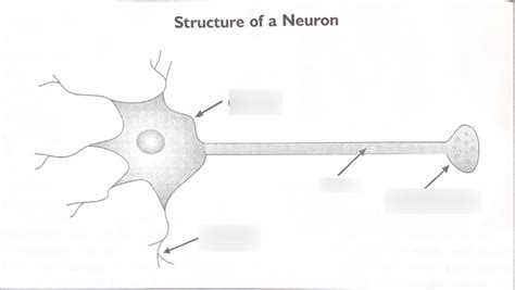 Psyc Exam Preston Ch App A Diagram Quizlet