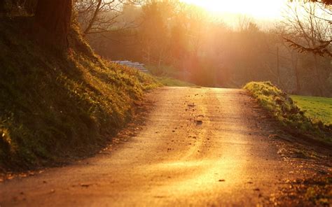 Wallpaper Sunlight Landscape Forest Hill Nature Grass Sky