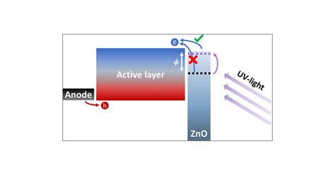 Extraction Current Transients For Selective Charge Carrier Mobility