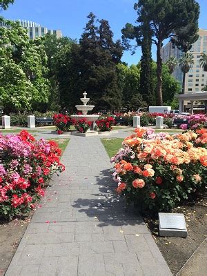 Sacramento’s Rose Gardens – State Capitol Park World Peace Rose Garden - SacramentoRevealed.com