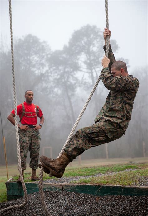 Dvids Images Delta Company Confidence Course Image Of