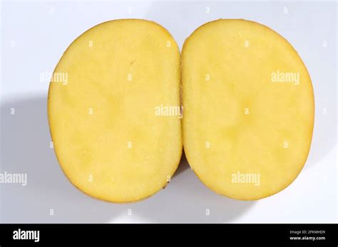 Potato La Bonnotte Potatoes Solanum Tuberosum Stock Photo Alamy