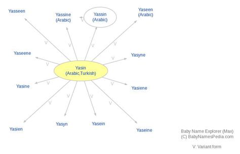 Yasin - Meaning of Yasin, What does Yasin mean?