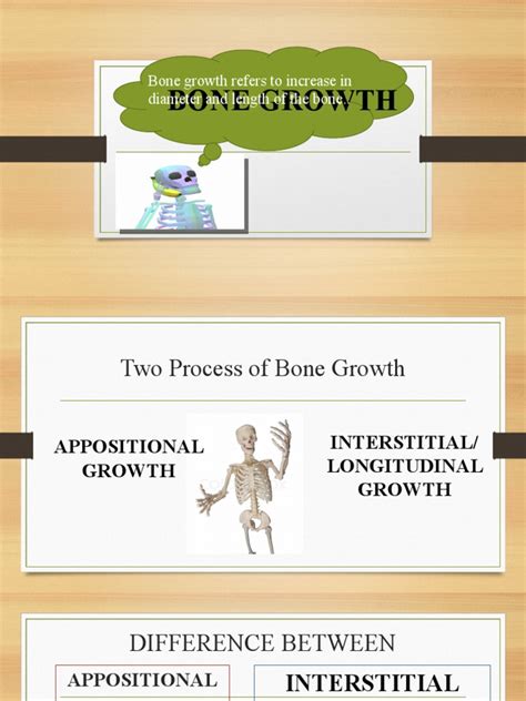 bone growth bone growth refers  increase  diameter  length