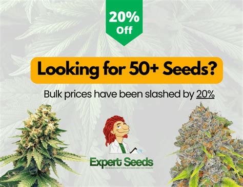 Buy Bulk Cannabis Seeds - Wholesale Marijuana Seed Bank