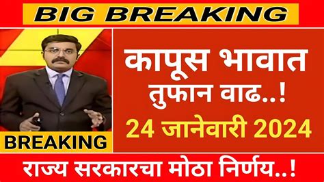 आजचे कापुस बाजार भाव दिनांक 24 जानेवारी 2024 Kapus Bhav Today Cotton Rate Today Youtube