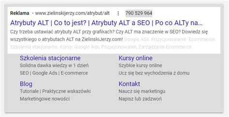 Jak Robi Reklamy Elastyczne Google Ads Zieli Ski Jerzy