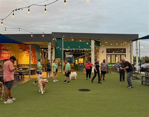 bark house social 8