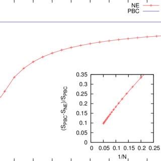 Color online Entropy as a function of the lattice size N for the Néel