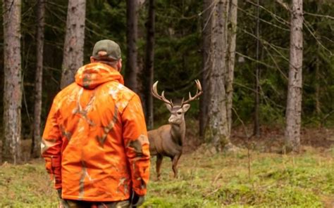 2024 Washington Hunting Season New Dates Regulation