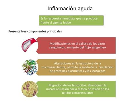 Inflamacion Aguda Y Cronica