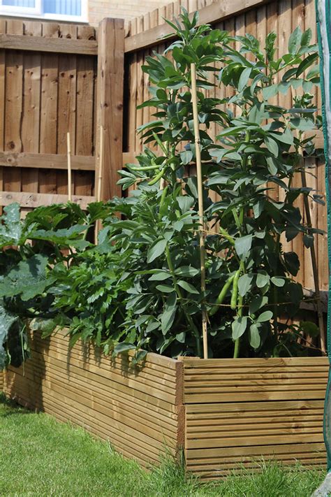 DIY raised beds | Grow your own veg | The Crafty Gentleman