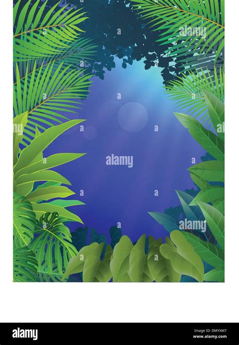 Tropical Forest Background Stock Vector Image And Art Alamy