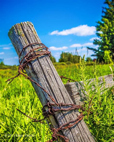 Fence Post With Rusty Barbed Wire With Images Barbed Wire Old