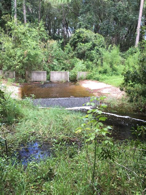 CW Millhopper Creek Gainesville Creeks