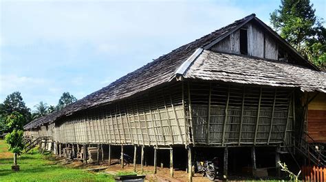 5 Rumah Adat Suku Dayak Di Kalimantan Dan Keunikannya